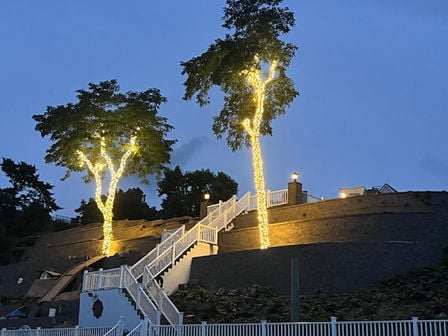 Uplit trees and landscape lighting by Island Nights Outdoor Lights on Long Island's North Shore